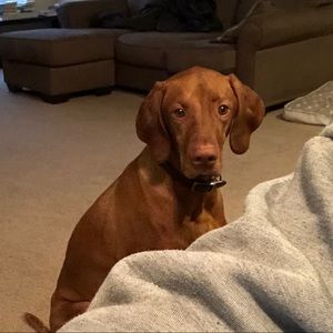 Meet your Posher, Gary